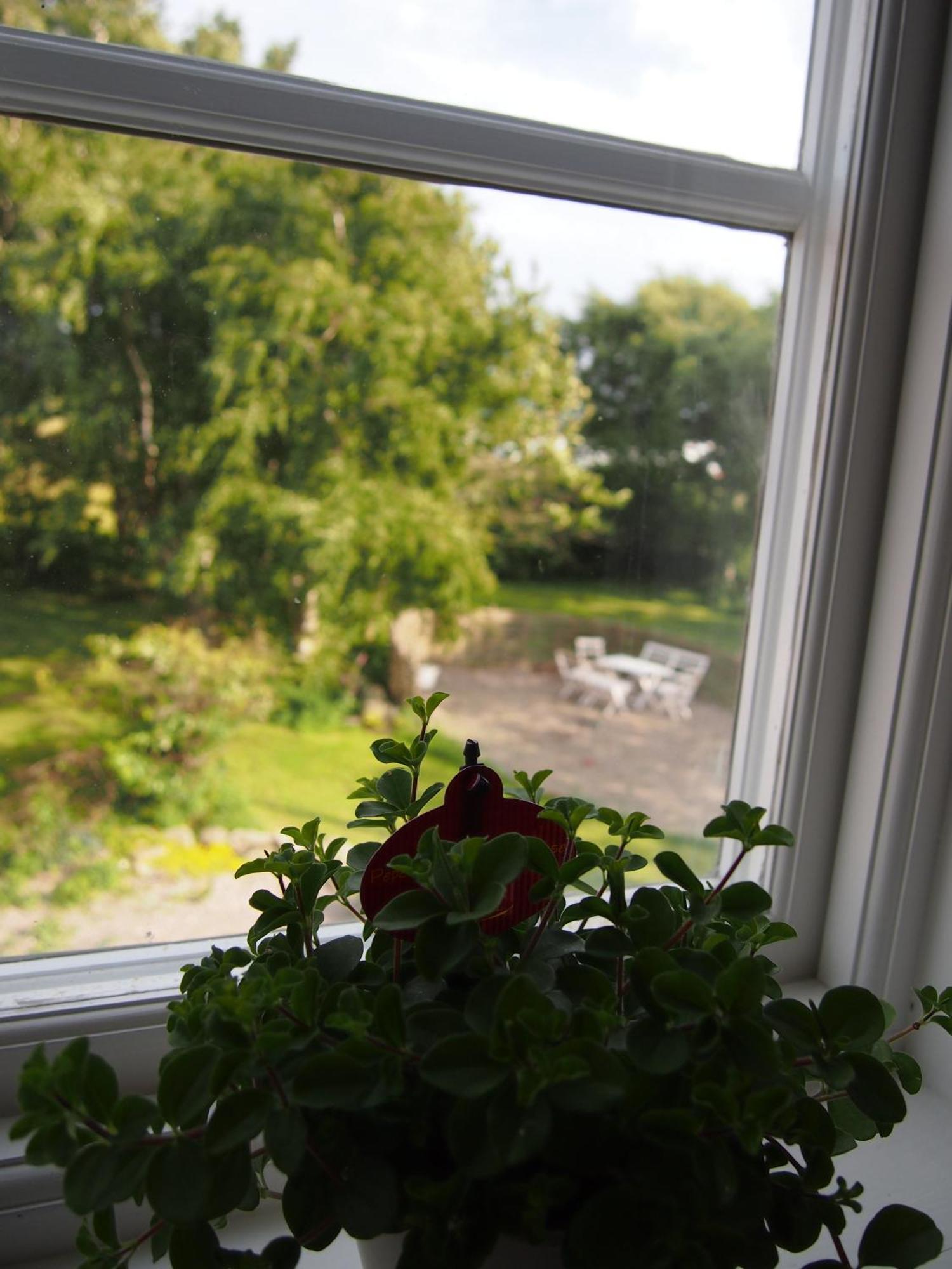 Augustas Bed & Breakfast Bed & Breakfast Falkenberg Room photo